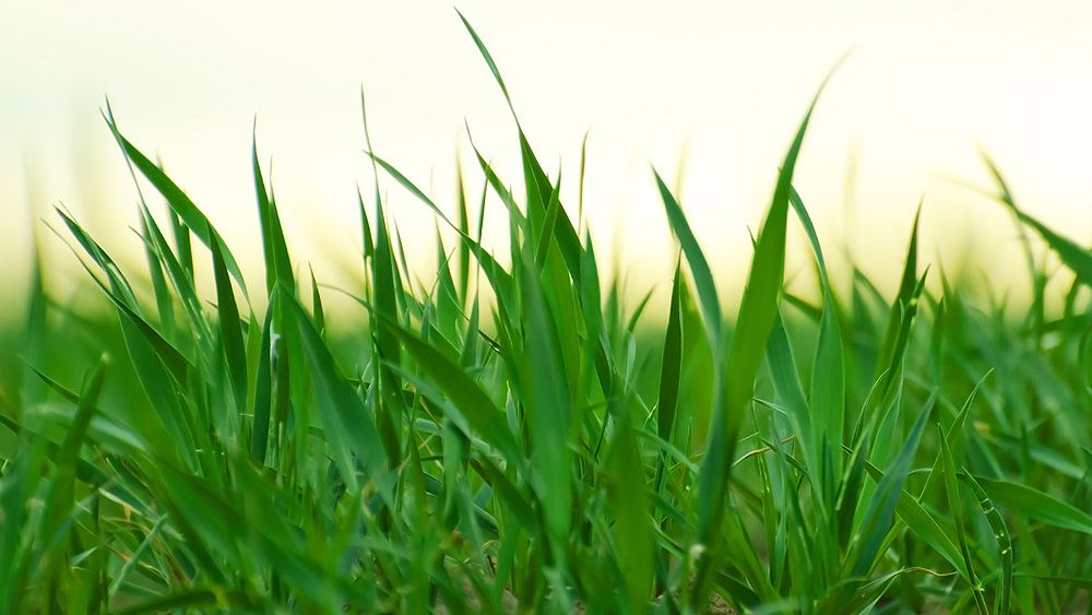 RODITELJSKI SESTANEK