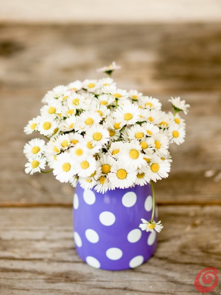 Vse najboljše, mamice!